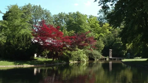 Tranquil Park Stock-Footage 8534479