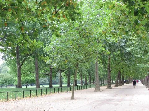Tranquil Park Path Stock Photos