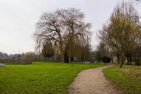 Tranquil Park Path with Willow Tree Stock Photos