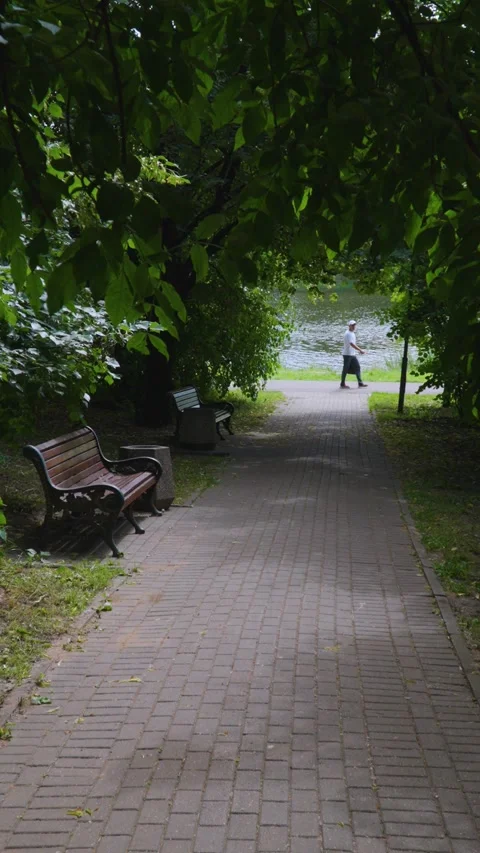 Tranquil Park Path With Wooden Benches Under Tree Canopy By A Riverbank On A Qui Stock-Footage 337951601