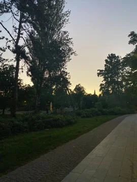 Tranquil park twilight scene with trees silhouette against gradient sky 库存照片