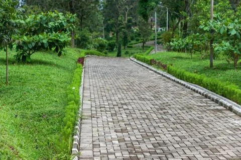 A tranquil path surrounded by lush greenery, perfect for walks and relaxation Stock Photos