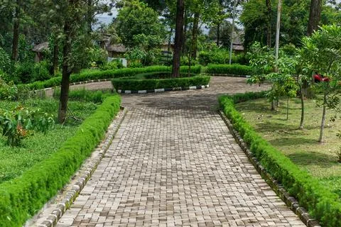 A tranquil path surrounded by lush greenery, perfect for walks and relaxation Stock Photos