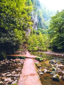 A tranquil path through lush greenery , flowing streams at Maden Deresi, Sa.. Stock Photos
