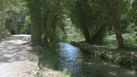 A tranquil path winds through lush zone as gentle stream flows peacefully. Stock Footage 259075483