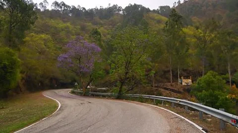 Tranquil pathways winding through the dense forest of Paudi in the pictures.. Stock Photos