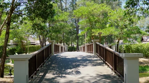Tranquil pedestrian bridge surrounded by green foliage, connecting two parks Видео 271724930