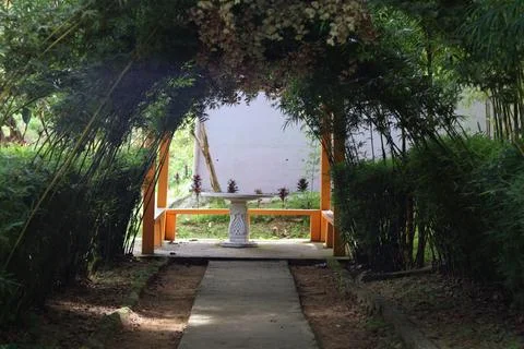 A tranquil pedestrian pathway passing underneath a lush, leafy green arched Stock Photos