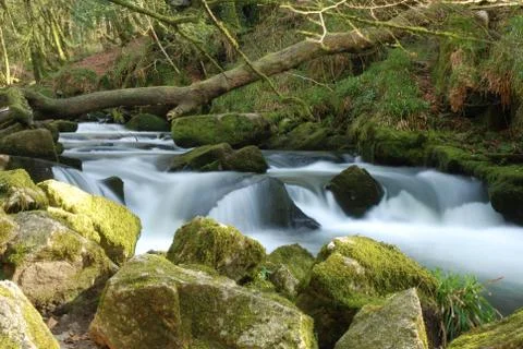 Tranquil Stock Photos