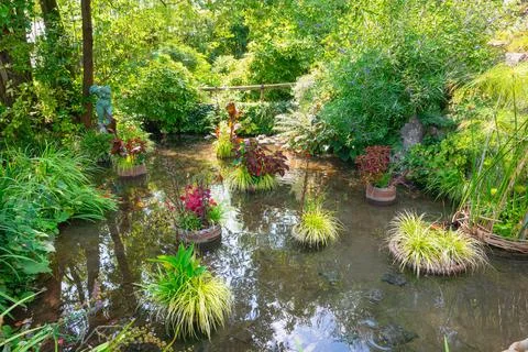 Tranquil pond with floating planters and lush greenery in a botanical garden. Stock Photos
