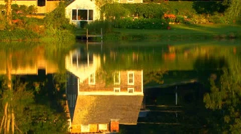 Tranquil Pond Mirror Stock Footage 8922444
