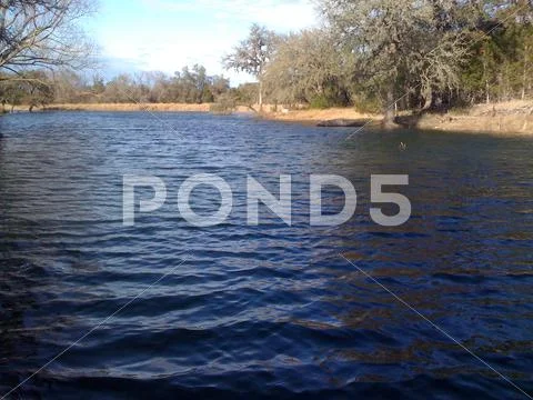 Tranquil Pond Stock Photos