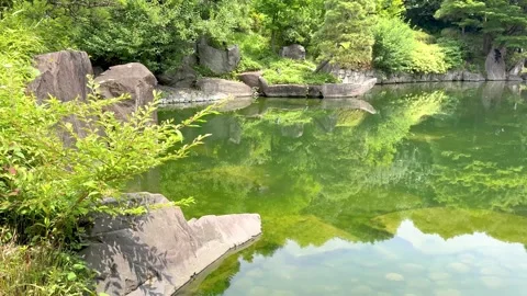 Tranquil pond reflecting lush green trees in traditional garden Stock Footage 339847333