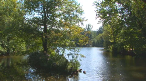 Tranquil Pond Scene Stock Footage 38766125