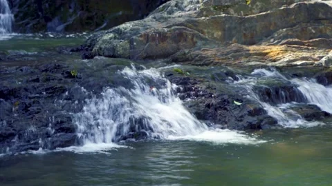 Tranquil Pool at the Base of a Woodland Waterfall Reflecting Summer Vegetation Stock Footage 341915160