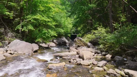 A tranquil pool of water rests within a mossy stone gorge in Paradise Stock-Footage 340155229