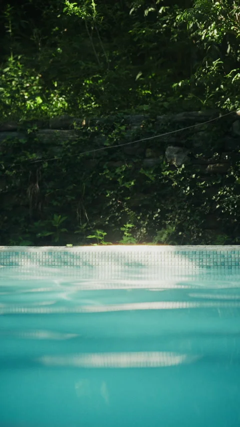 Tranquil Poolside With Lush Greenery Stock Footage 283628228