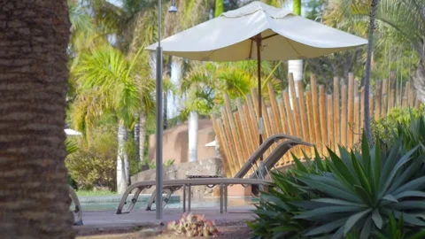 A tranquil poolside scene featuring lounge chairs under tropical foliage, c.. Stock Footage 286366440