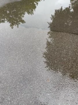 A tranquil puddle on the speckled asphalt surface becomes a natural mirror 写真素材