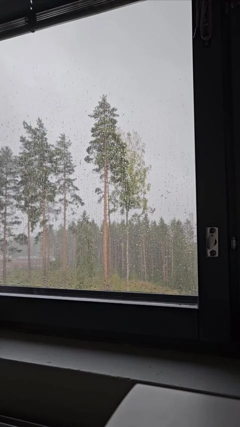 Tranquil Rainy Day Through a Window with Forest View Stock Footage 297498682