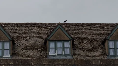 Tranquil raven walking atop a typical English rooftop under cloudy sky Vídeo Stock 334608880