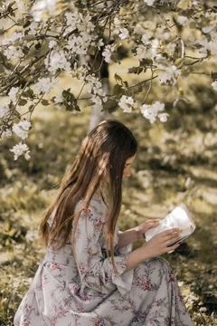 Tranquil Reading in Spring Blossoms Stock Photos