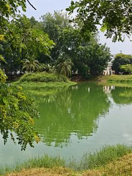 Tranquil Reflection at a Green Oasis Stock Photos