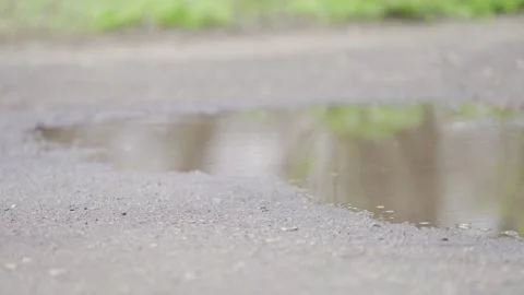 Tranquil Reflection in Shallow Puddle Under Overcast Sky | HLG Stock Footage 311897654