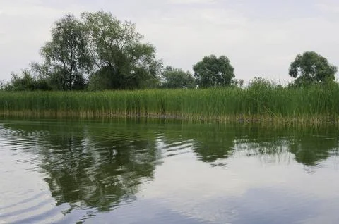 Tranquil Reflections Foto stock