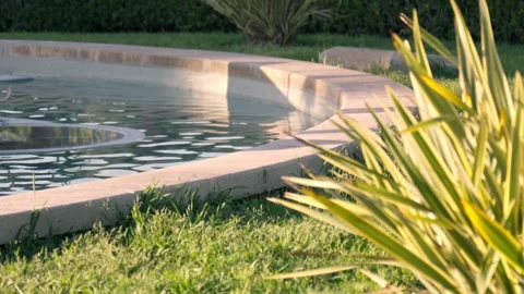 Tranquil reflections in a serene garden oasis Stock Footage 308813052