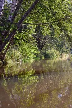 Tranquil Reflections: Trees Mirrored in River Waters Stock Photos