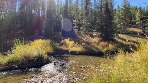 Tranquil Relaxing River Stock Footage 167571974