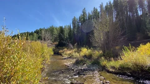 Tranquil Relaxing River Stock Footage 167571994