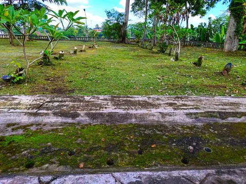Tranquil resting place: A cemetery adorned with lush trees under a serene b.. Stock Photos