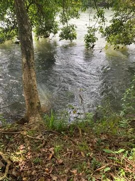 Tranquil River Amid Nature Stock Photos