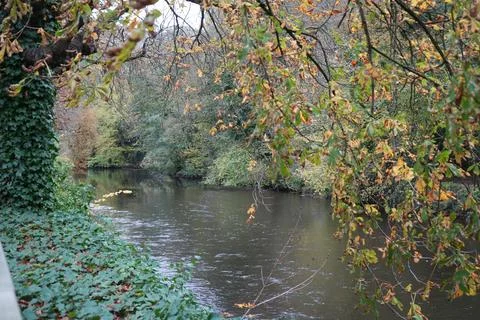Tranquil River, Autumn Trees, Vibrant Foliage, Matlock Bath, Derbyshire, Stock Photos