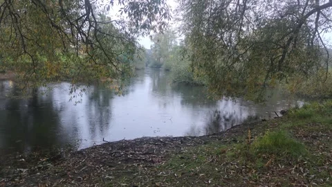 Tranquil River Bend Framed By Overhanging Tree Branches In Autumn Sweden Stock Footage 347975767