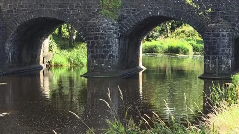 Tranquil River Bush with Stone Bridge at Bushmills Northern Ireland 動画素材 315119048