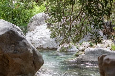 Tranquil river flowing between large white boulders, viewed through overhanging Stock Photos