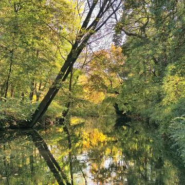A Tranquil River Flowing Gently, Surrounded by Lush Green Trees in Beautiful Stock Photos