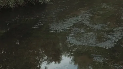 Tranquil river flowing through countryside 스톡 동영상 77970172