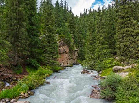 Tranquil river flowing through forest in Kyrgyzstan 库存照片