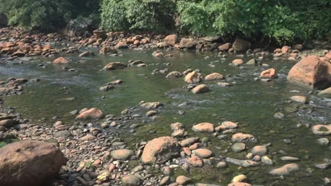 Tranquil River Flowing Through Lush Forest with Rocky Riverbed Stock Footage 293943813