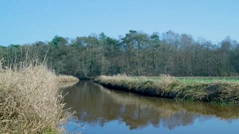 Tranquil river flowing through a natural winter landscape 库存影片 335026996