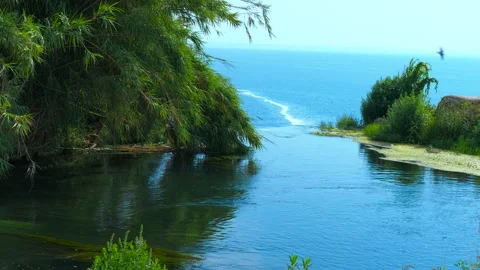 Tranquil river flows into the azure mediterranean sea Stock Footage 304756043