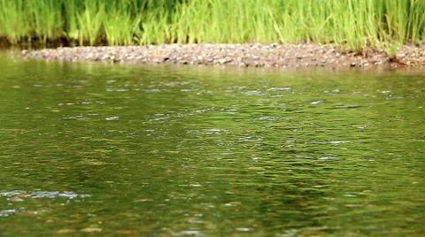 Tranquil river flows Stock Footage 52198165