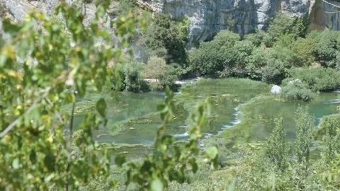 A tranquil river flows through a lush riparian forest, surrounded by rocky banks Stock Footage 259075738
