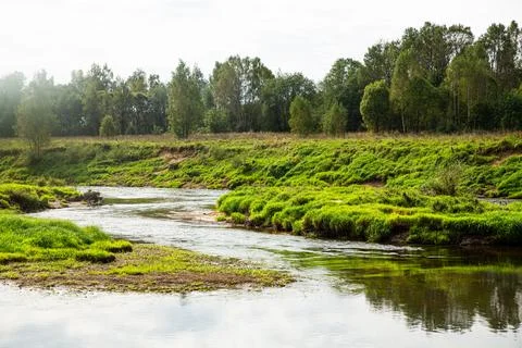 Tranquil river flows through lush forest creating serene scene in untouched Stock Photos