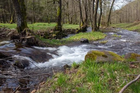 The tranquil river flows through a lush green forest in spring. Stock Photos