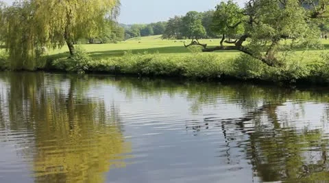 Tranquil on river Video stock 12050087